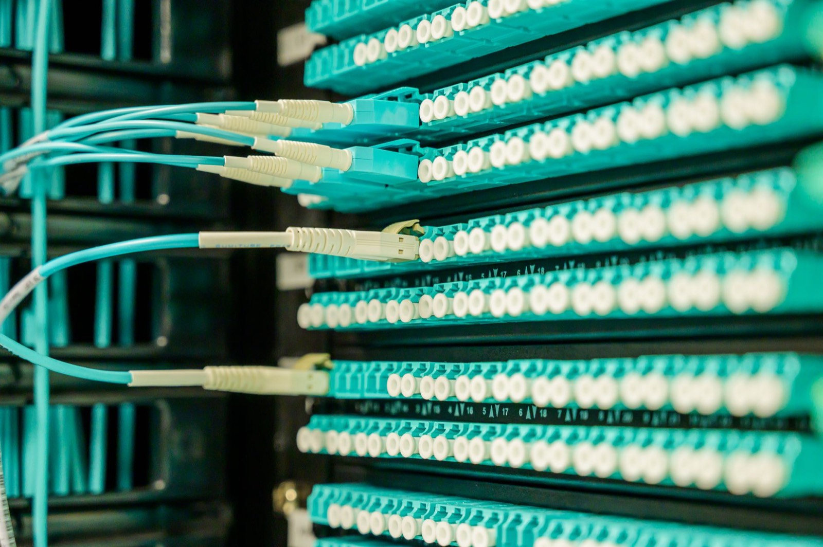 Salle de serveurs avec câbles réseau, symbole de l'infrastructure cloud nécessaire à une collaboration numérique à distance